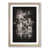 Oak Framed selected