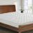 Kilpatrick 1'' Mattress Pad-1390026283