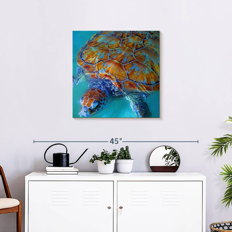 Tortue de mer Brampt Cayman, H 24 po x l 24 po