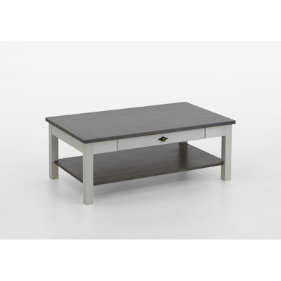 Hojanovice Coffee Table with Storage