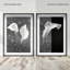 Calla Lily Set Shadowbox Floral & Botanical Print by Oliver Gal, Black Frame, 10 x 15-1448218875-1448218869