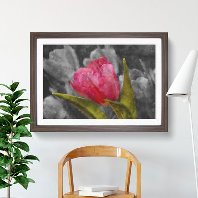 Pink Tulip Flower - Framed Print
