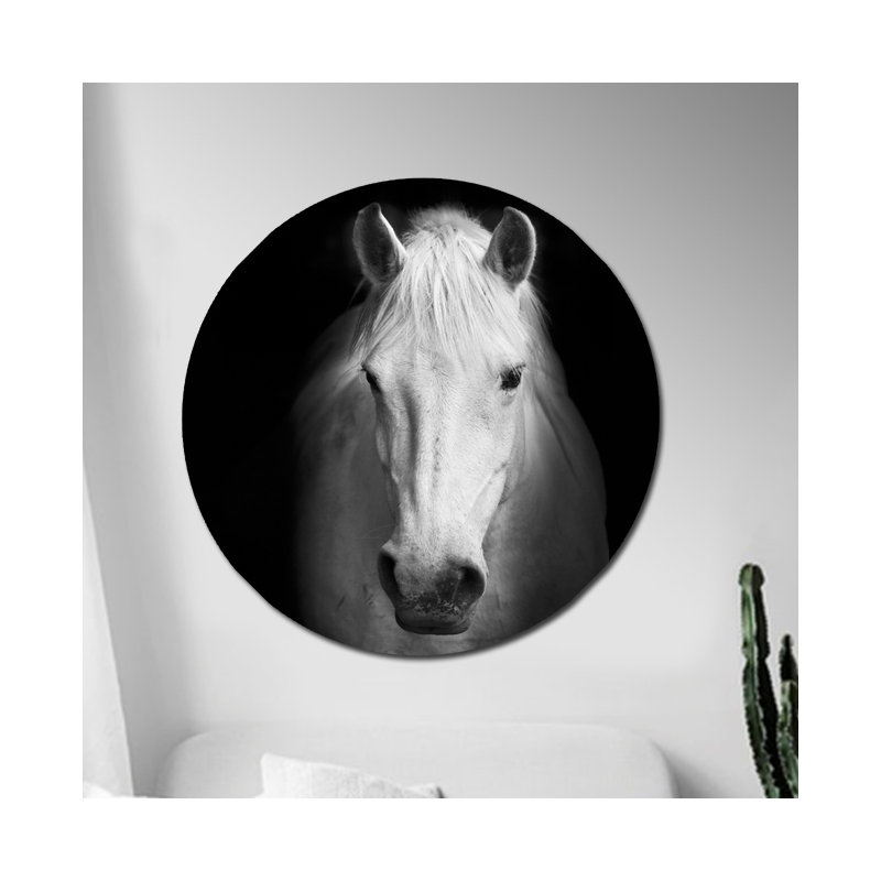 Cheval blanc curieux-impression sans cadre sur papier, H 24 po x l 24 po x P 1,5 po