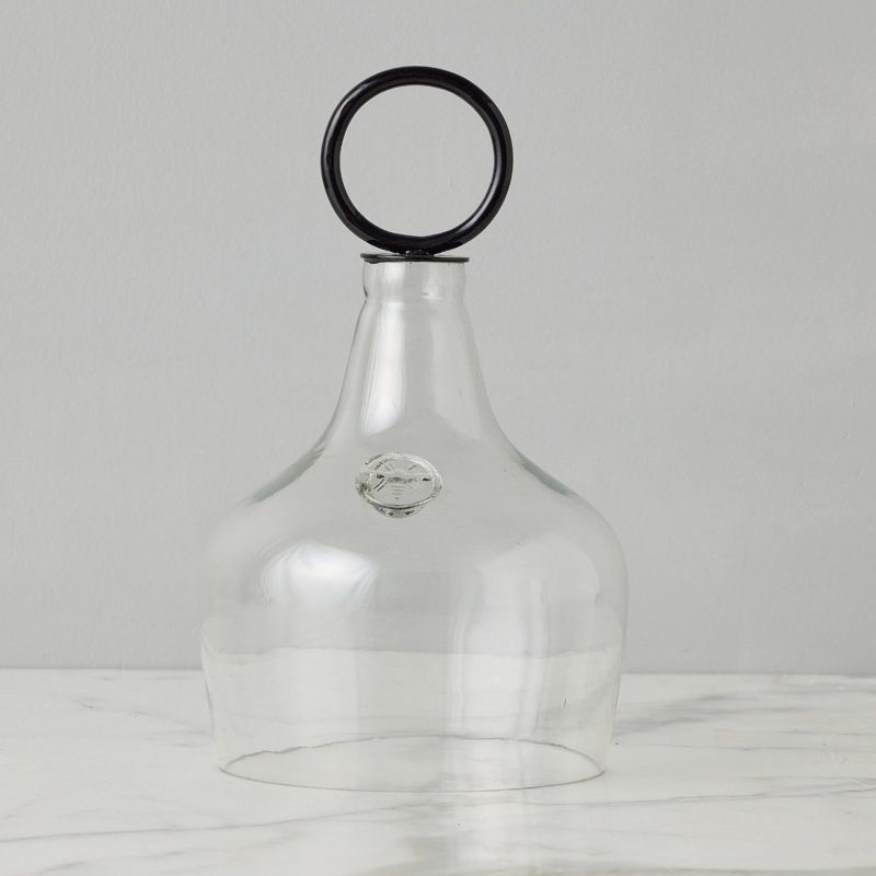Glass Cloche Food Cover, Ring Handle, Small, Clear/Black