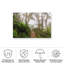 «Foggy Walk» sur une impression sur toile-98044592