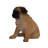 Sitting Dog Pug Statue