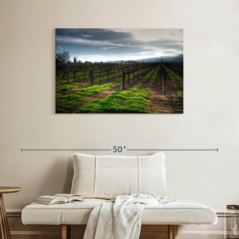 Alvord Napa Vineyard en janvier, H 26 po x l 39 po