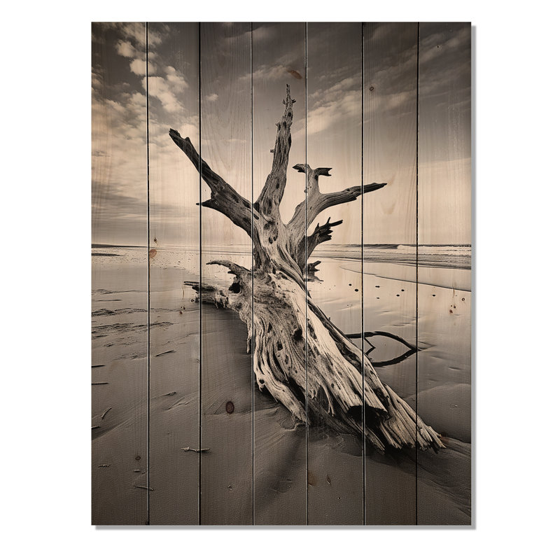 Beach Driftwood Photo III sur bois, H 32 po x l 24 po x P 0,78 po
