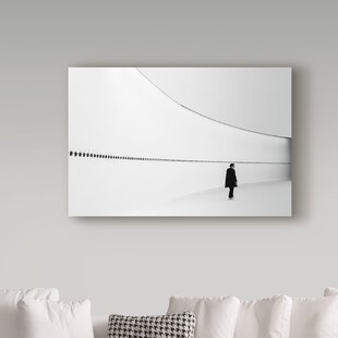 https://assets.wfcdn.com/im/05084044/resize-h310-w310%5Ecompr-r85/5650/56501572/luc-vangindertael-wide-white-on-canvas-by-luc-vangindertael-print.jpg