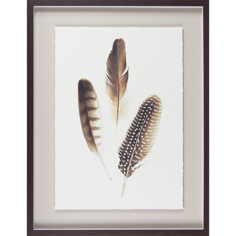 Print, Framed Paper