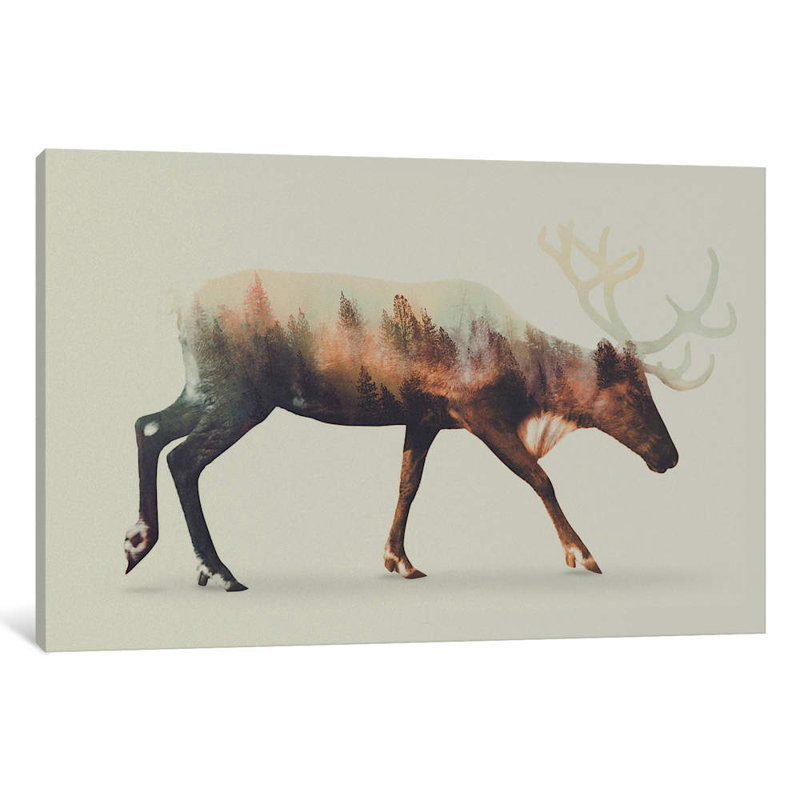 Reindeer by Andreas Lie - Print on Canvas, 66.04 cm H x 45.72 cm W x 1.91 cm D, No Frame