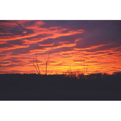 Adhésif décoratif coucher de soleil