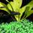 Howes Garden Stone-118620242