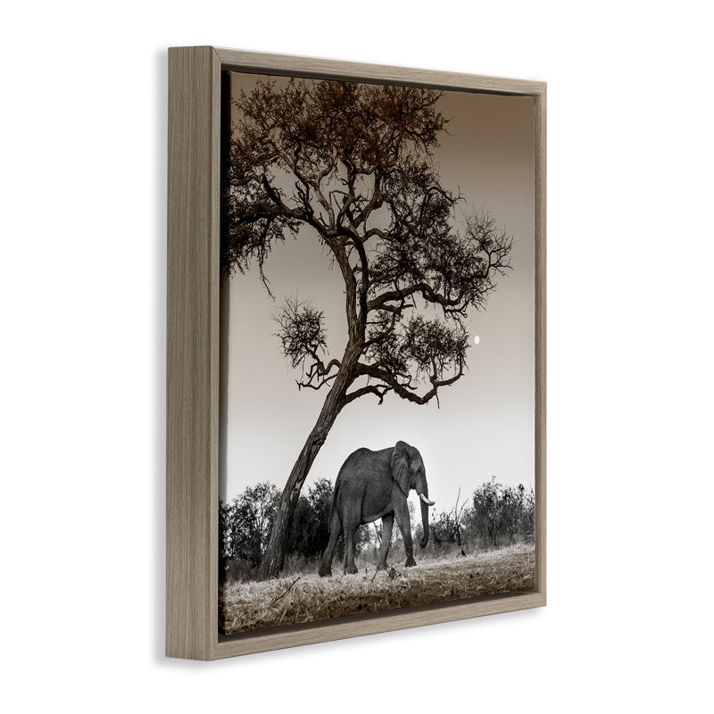 Elephant & Curved Desert Tree, 18" H x 18" W, Montalcino Elm Floater Frame