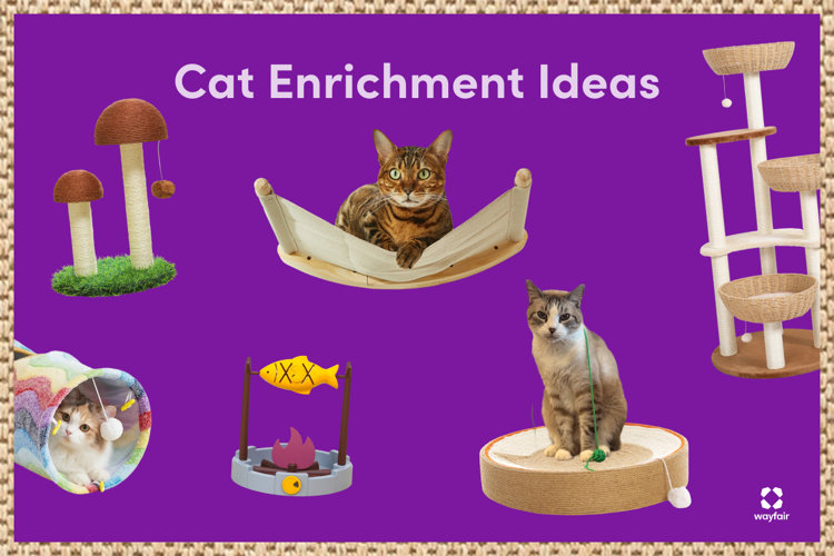 An educational graphic titled 'Cat Enrichment Ideas' on a bright purple background with a woven border, featuring a logo for Wayfair in the bottom right corner. The graphic showcases various cat products, including a mushroom-shaped sisal scratching post, a canvas cat hammock holding a Bengal cat, a multi-tiered wicker cat tree, a colorful rainbow play tunnel with a cat peeking out, a small campfire-themed toy with a rotating yellow fish, and a grey and white cat sitting on a round, woven sisal scratching pad with an attached string toy.