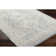 Oriental Indoor Rug