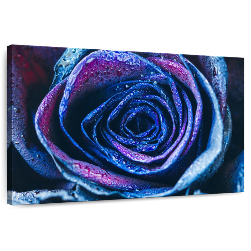 Rose bleue fraîche Harnek, H 8 po x l 12 po