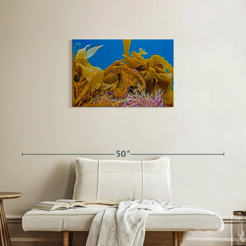 Crowle Reef Octopus And, 20" H x 30" W