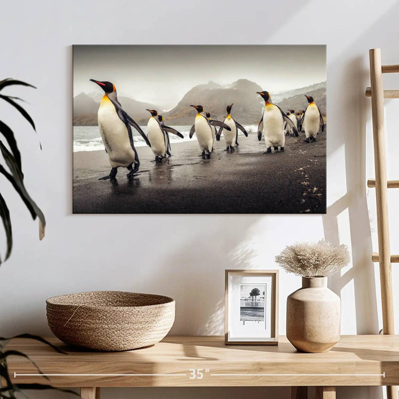 Pingouins bruns le long de la plage, H 16 po x l 24 po