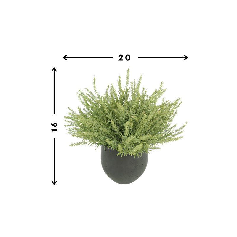 Astilbe Arrangement In A Fiberstone Pot