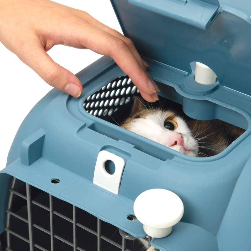 Porte-chat Catit, moyen, rouge cerise, Bleu/Gris, Petit (11 à 25 lb)