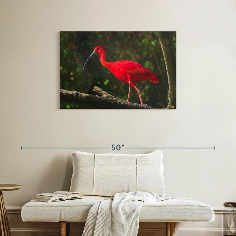 Oiseau rouge Brampt, H 24 po x l 36 po