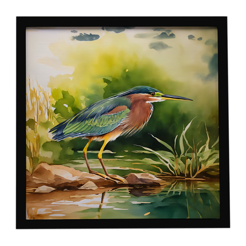 Green Heron Framed Metal Print