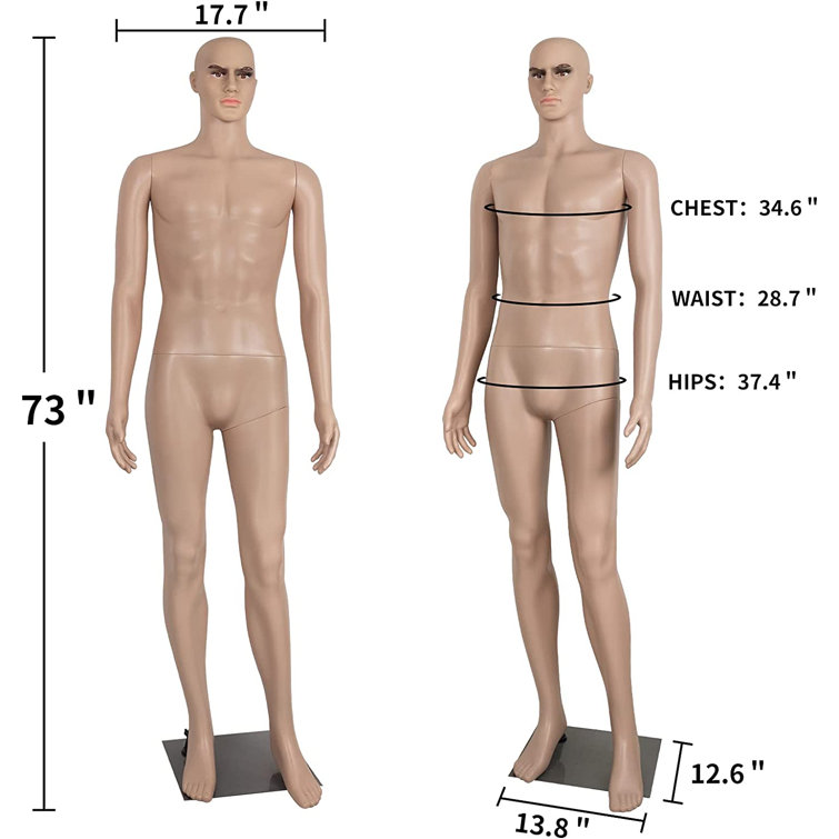 73 Inch Male Mannequin Full Body Dress Form Sewing Manikin Model Mannequin  Stand