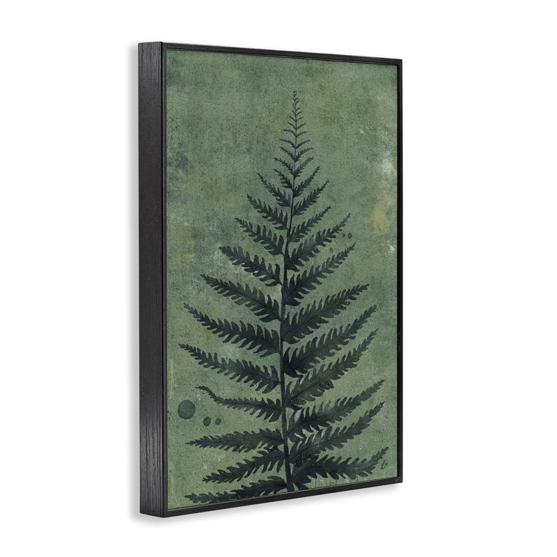 Impression sur toile Stupell Industries, impression de fougère rustique encadrée par Lydia Orange, H 18 po x l 12 po