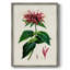 AntiqueFloralFolioI, reproduction encadrée - bois massif-1894796397