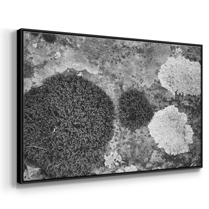 Found Textures XIX sur toile de qualité supérieure - prête à être accrochée, H 17 po x l 25 po x P 2 po