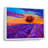 " Lavender Fields "-1639887215-1639887211