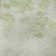 Premium Machine Washable Prisco Aloe Rug