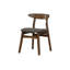 Dining Chair(Only Dining Chairs)