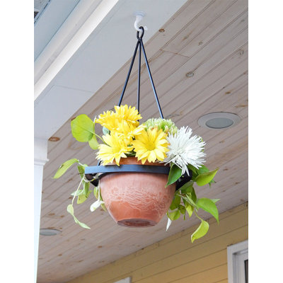Rouleau Metal Hanging Planter