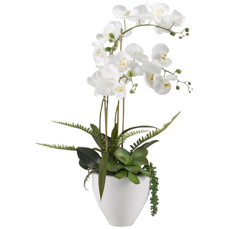 Arrangement floral orchidées dans un bol en céramique