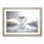 Oak Framed selected