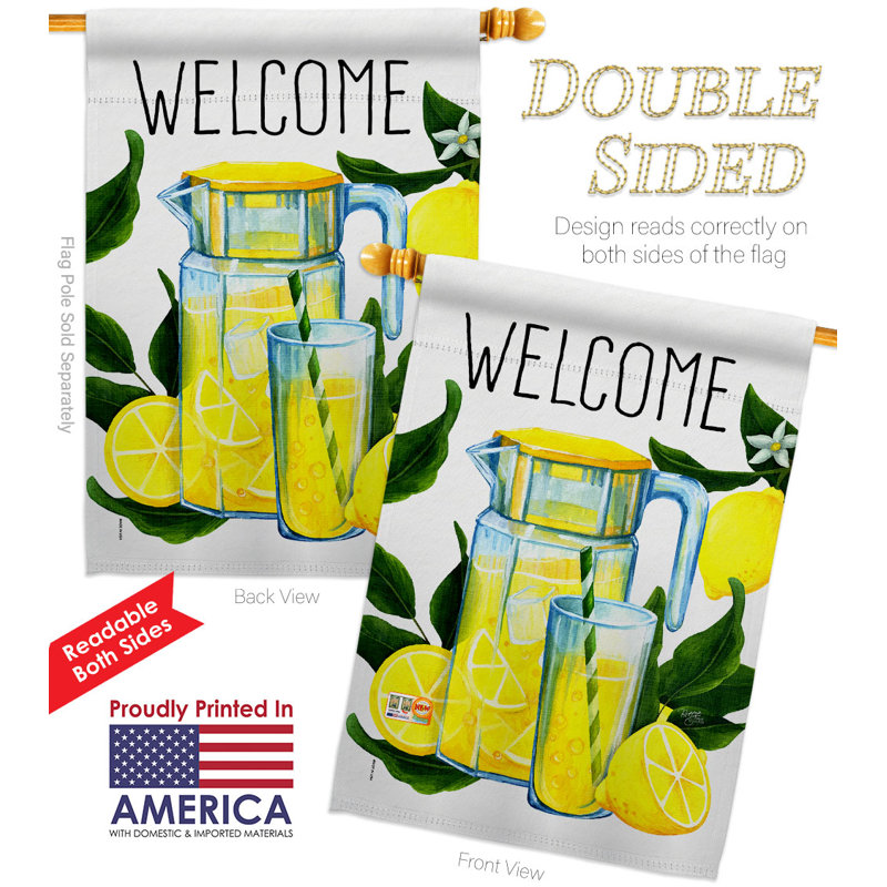 Double Sided 40'' H x 28'' W Polyester House Flag