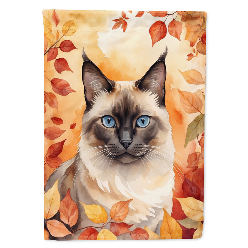 Chat en feuilles d'automne, Birman