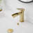 Single-Hole Single-handle Bathroom Faucet with Drain Assembly-88998807