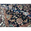 Sona Wool Oriental Area Rug