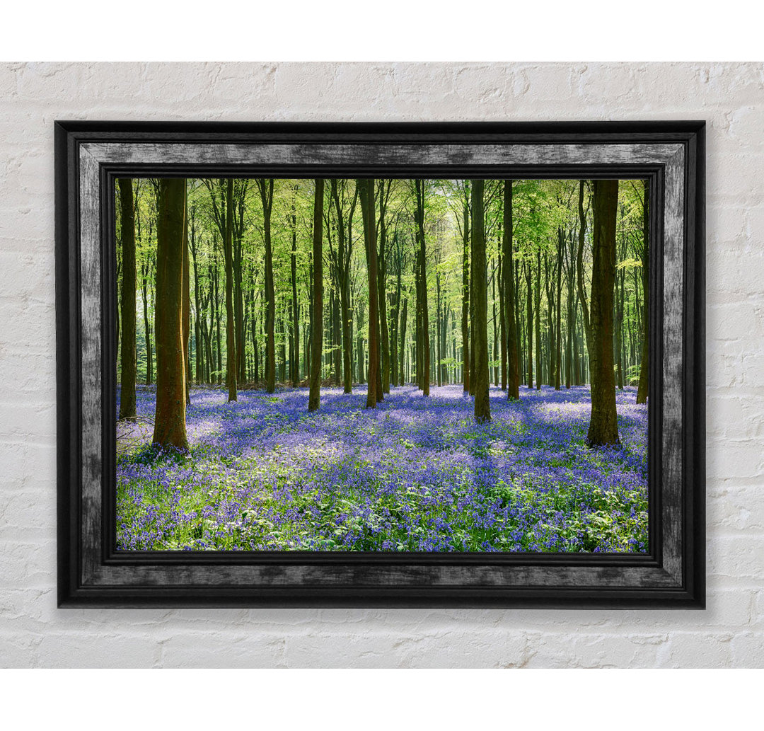 Mystical Bluebell Woodland - Einzelner Bilderrahmen Kunstdrucke