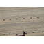 Handmade Wool Gabbeh Indian Area Rug 8x10