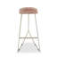 Bucyrus Upholstered Counter Stool with Metal Frame-1540806504