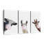 Silly Bubble Gum Animaux 3 pièces-92829896