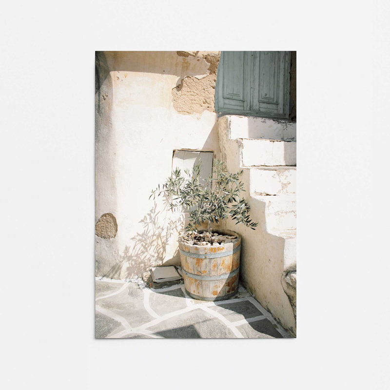 Imprimé d'olivier au soleil, H 10 po x l 8 po x P 0,1 po, Papier