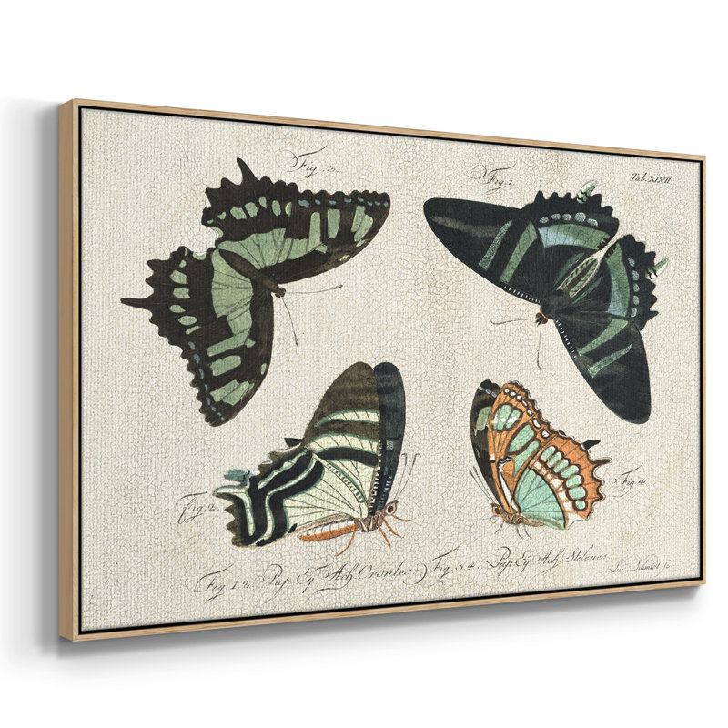 «Crackled Butterflies III», reproduction d'art sur toile, H 25 po x l 37 po x P 2 po, Toile naturelle avec cadre flottant