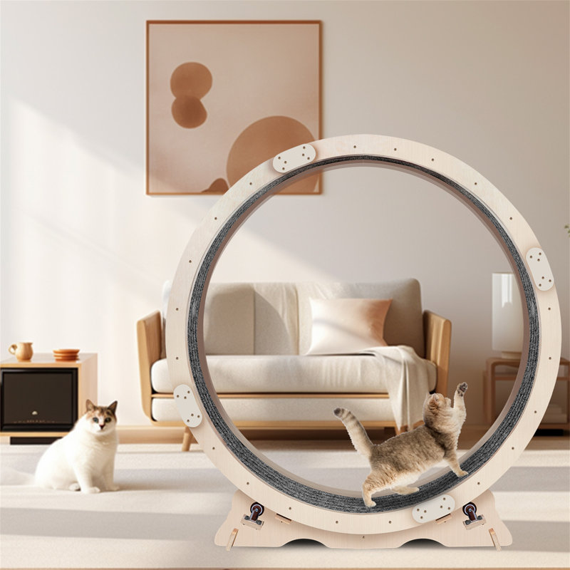 Roue d'exercice pour chats