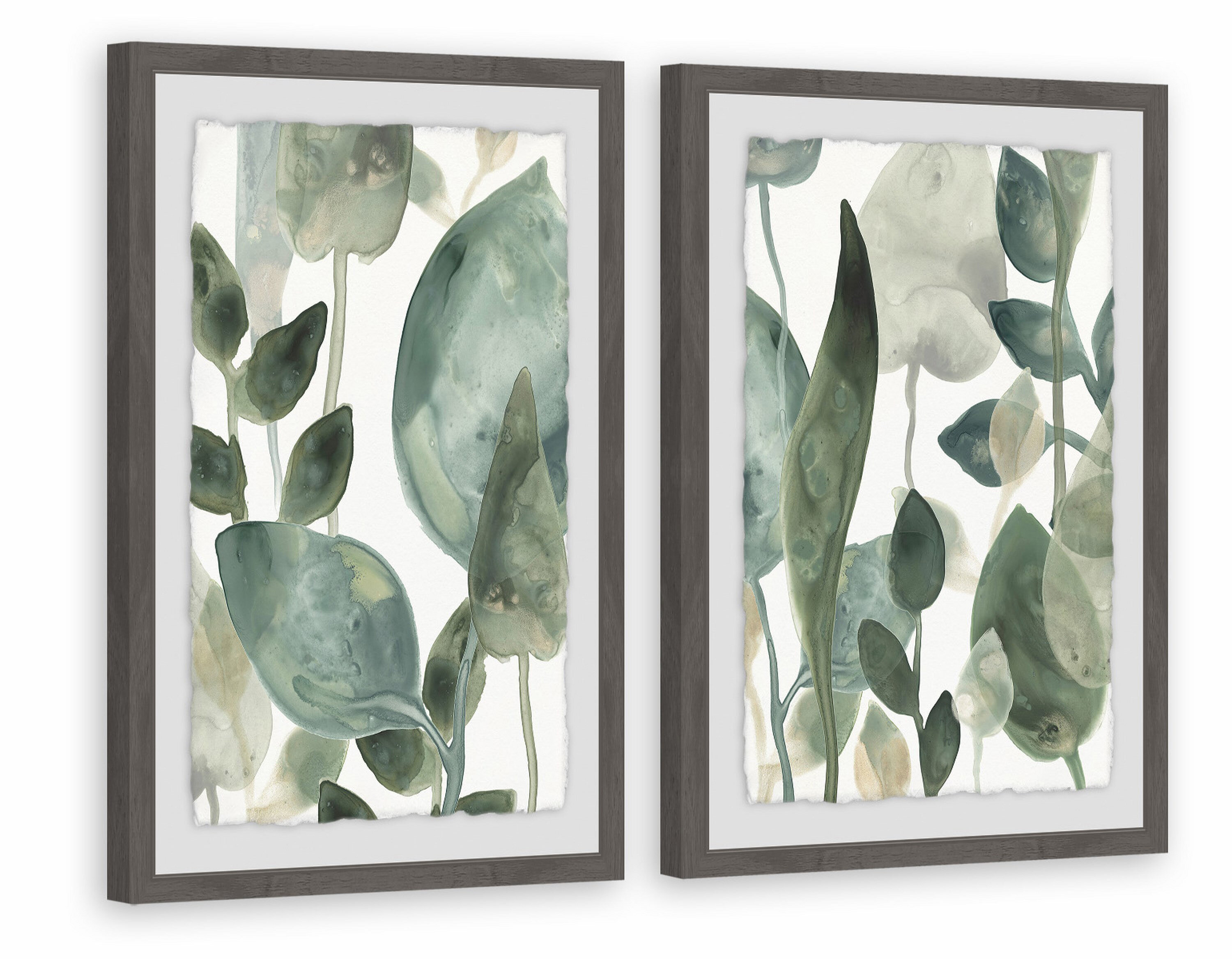 Brayden Studio® Water Leaves VI Framed On Paper 2 Pieces Set & Reviews ...