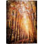 Automne automne «Orange Brown Autumn Forest Trees Landscape Images» sur-99142221-99142220